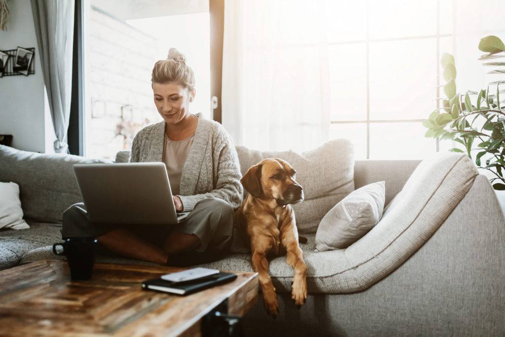 businesswoman working on laptop on a sofa with a dog